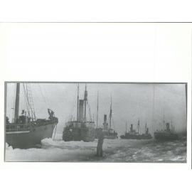 Rosshavet Whaling Co. (Hvalfangerselskap Rosshavet) fleet