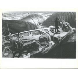 Ship among blue whales