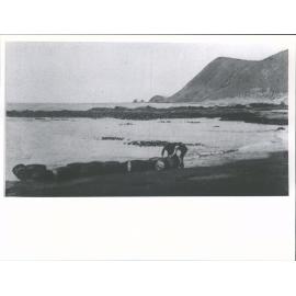 Island party land oil casks