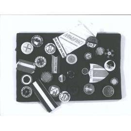 Suffragette Badges