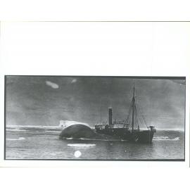 Whaling ship and whale