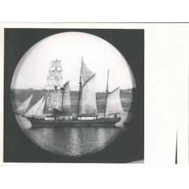 UNIDENTIFIED OTAGO HARBOUR