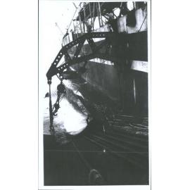 Loading whale onto ship