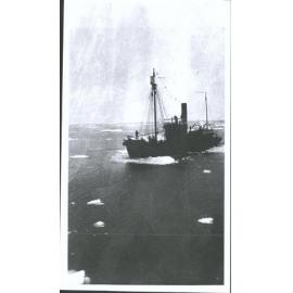Whaling ship "Star V"