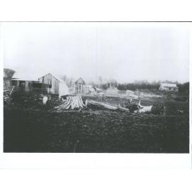 Tahakopa Valley: Old Farm Buildings in Various Stages of Demolition and Re-building