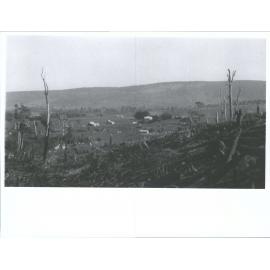 Tahakopa Valley: Clearing a Hillside
