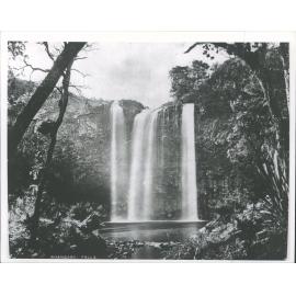 Whangarei Falls