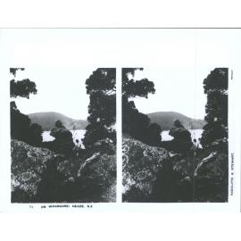 On Whangarei Heads, N.Z.