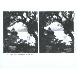 Pah Point, Whangarei Heads, N.Z.