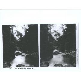 On the Whangarei River