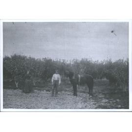 Millers' Apple Orchard, Riccarton Road, East Taieri