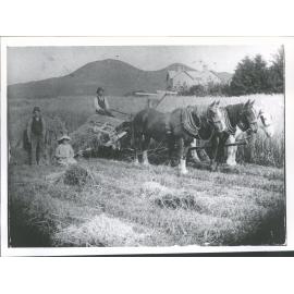 Bush Road - Melville Park