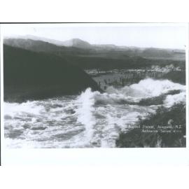 Buried forest, Arapuni, N.Z.