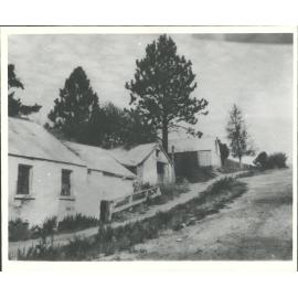 A bit of old Arrowtown