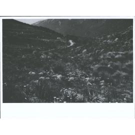 Arthur's Pass looking West