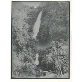 [Punch Bowl Falls] Otira Gorge Waterfall