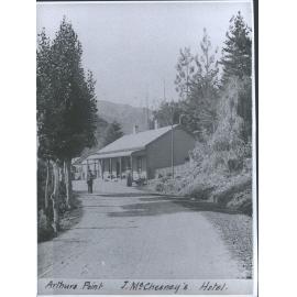 Arthur's Point- J. McChesney's Hotel.