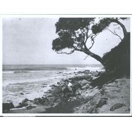 Beach near Awanui -Auckland