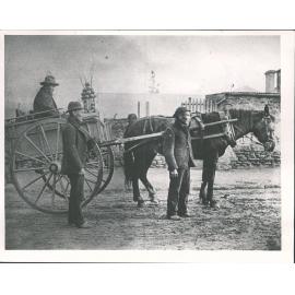Chinese market gardener