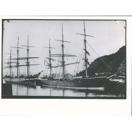 Wild Deer (left?) and Fernglen