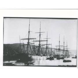 Zealandia (Jan 1873 Port Chalmers)