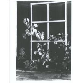 Angus, Rita (also Cook)