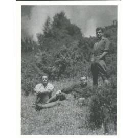 GOODWIN, A. F.