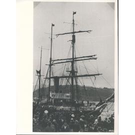 City of New York and Crowd