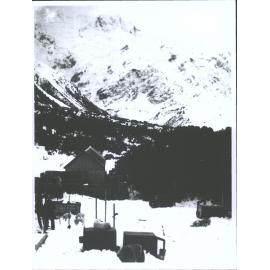 dogs and their kennels