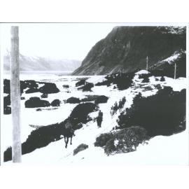 Riding horses through the snow