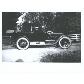 Daffodils, Mr & Mrs Theomin in car, possibly collecting daffodils for Plunket