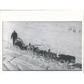 [ANTARCTIC EXPEDITIONS - Training with dog sled?]