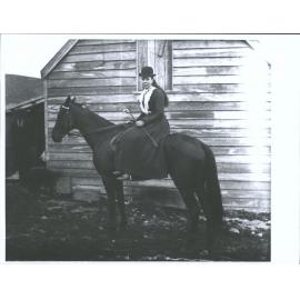Alec Gilchrists horse
