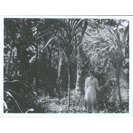 At Ulva, Stewart Island