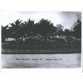Ellerslie Racecourse, Auckland, N.Z.