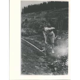 Toss in the garden Mapua