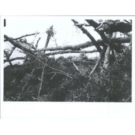 Turkish wire - No. 3 outpost