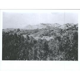 North of the [Barrier]