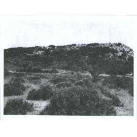 On the left of No. 2 from the sea