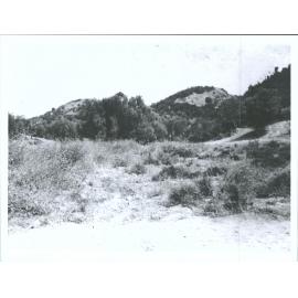 On the left of No. 2