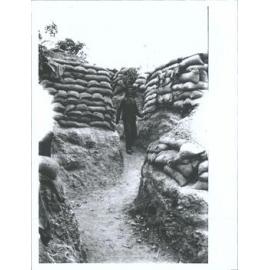 "Sandbags on Walkers Ridge"