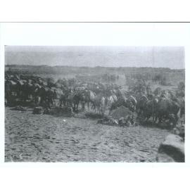 No. 2 Outpost: Mules at No. 2