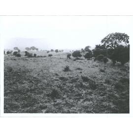 "In from Scott Lake"