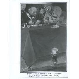 "How I felt before the Tribunal"