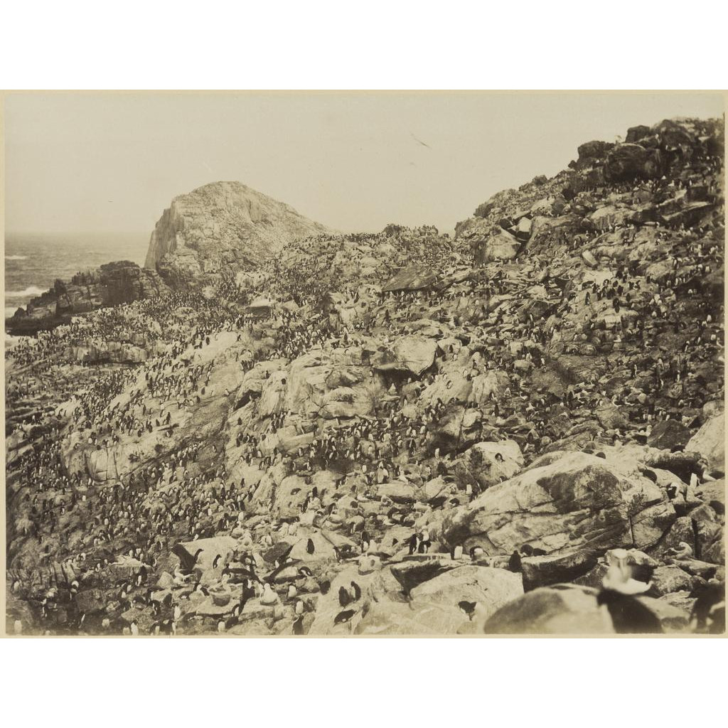 'Far South' photograph album by William Dougall - P1910-002