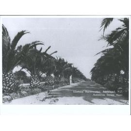 Ellerslie Racecourse