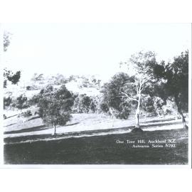 One Tree Hill, Auckland, N.Z.