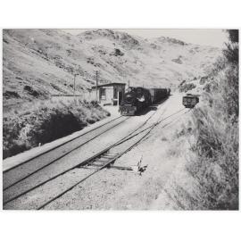Hindon Station and yard with train