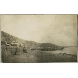 Shore scene