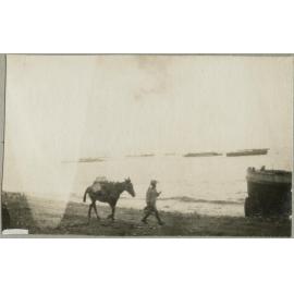 Shore scene